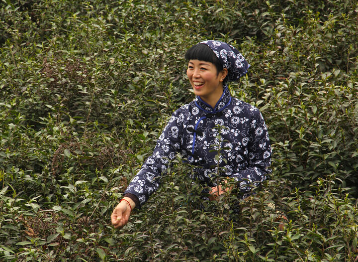 TOP1 百丽官·暗网